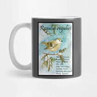 Kinglet Mug